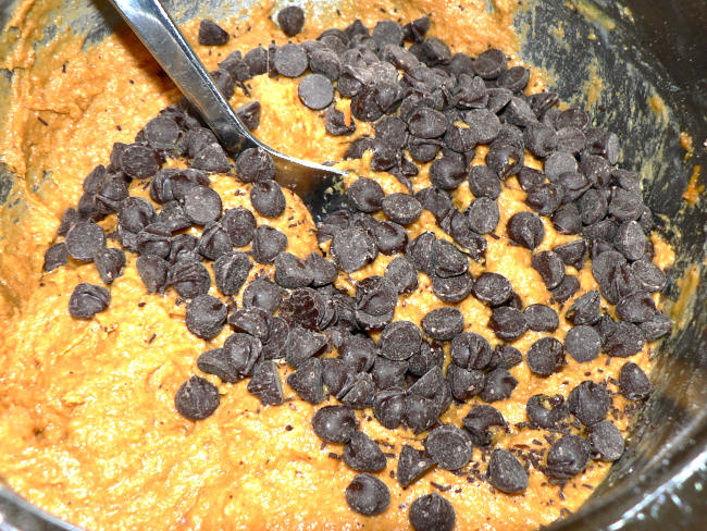 Chocolate Chips with Pumpkin bread batter