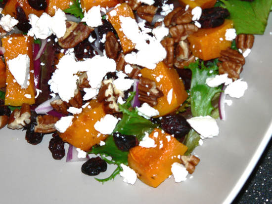 Butternut Squash, Lettuce, Goat Cheese, Pecans, Cranberries in a Salad Bowl