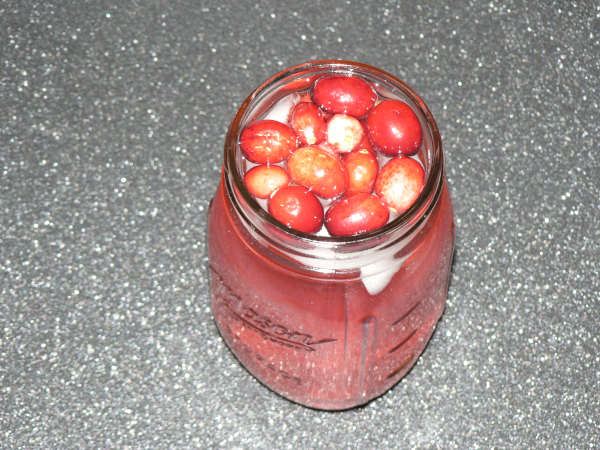 Pear Cranberry Water in a Glass