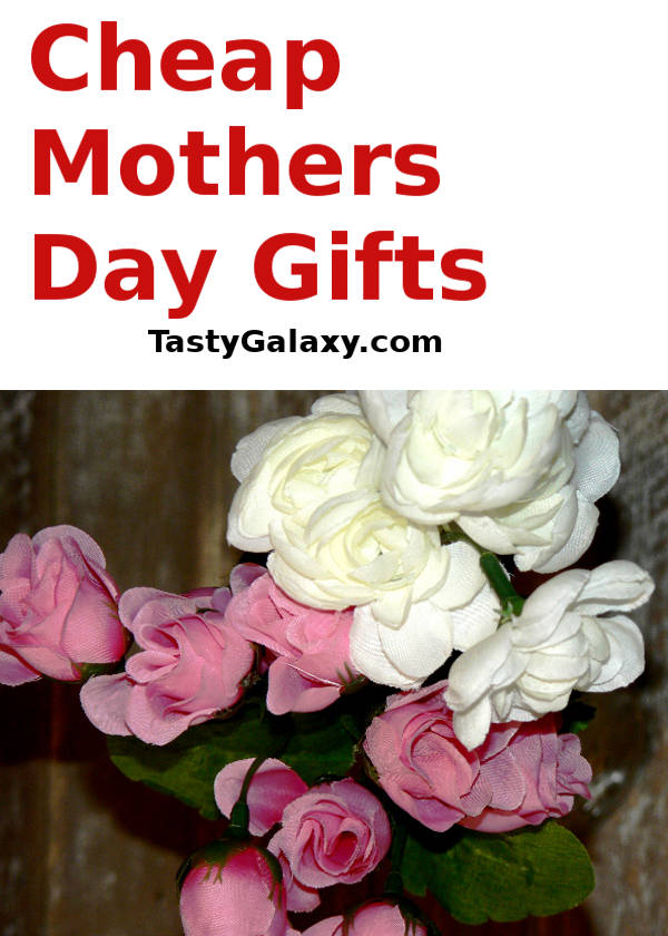 Cheap Mothers Day Gifts, here are all the Mothers Day gifts for under $20 #mothersday #gifts #mothersgifts