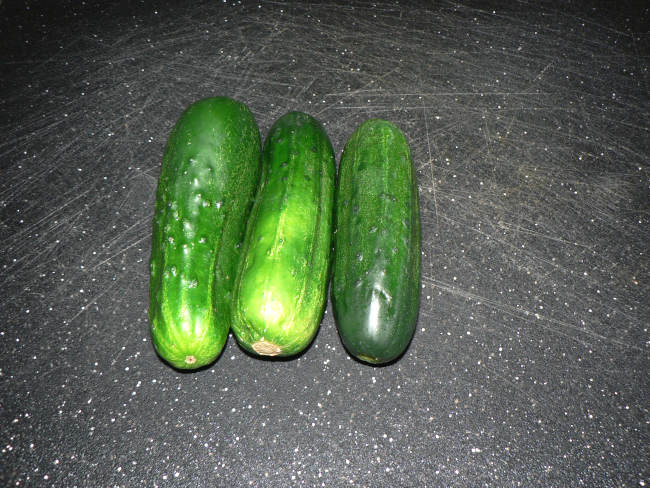 Cucumbers on a cutting board
