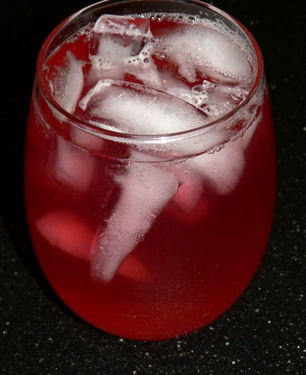 Apple Cranberry Infused Water