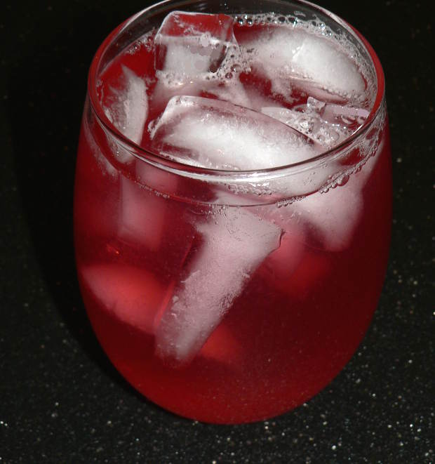 Instapot Apple Cranberry Infused Water