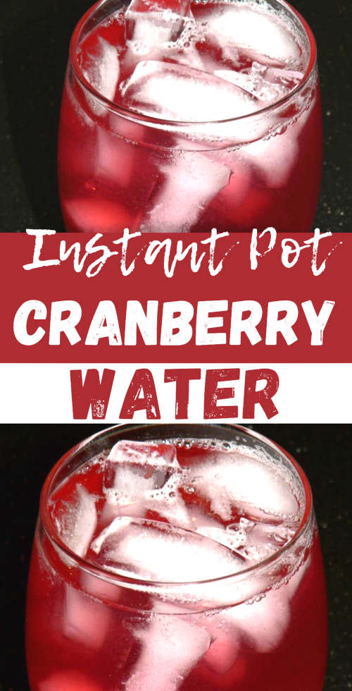 Instant Pot Cranberry Apple Infused Water
