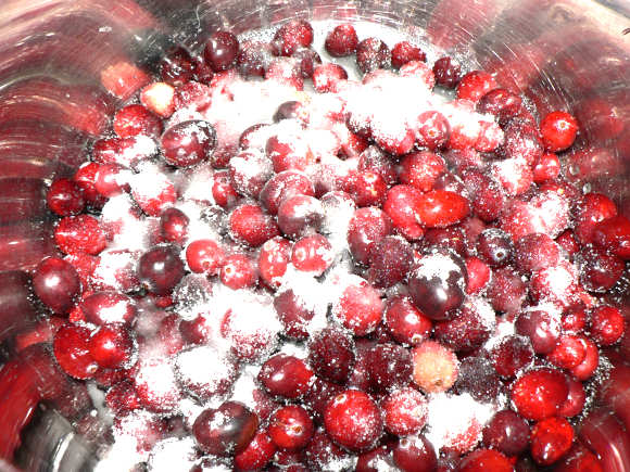 Cranberries and Sugar