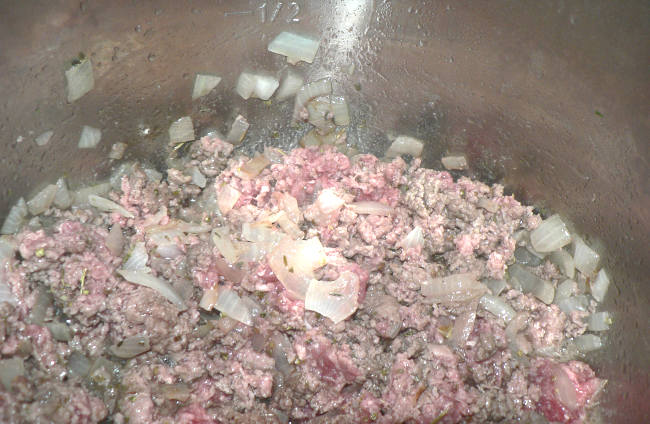 Beef, Onions, Italian Seasoning in Instant Pot