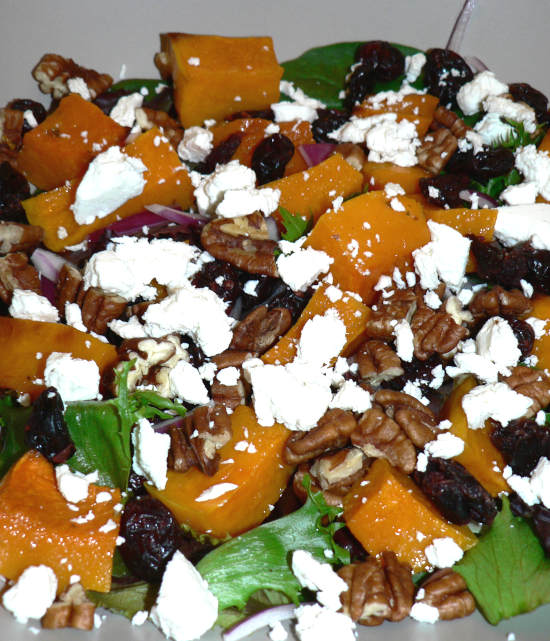 Butternut Squash, Lettuce, Goat Cheese, Pecans, Cranberries in a Salad Bowl