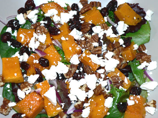 Onions, Lettuce, Cranberries, Goat Cheese, Butternut Squash in a Bowl