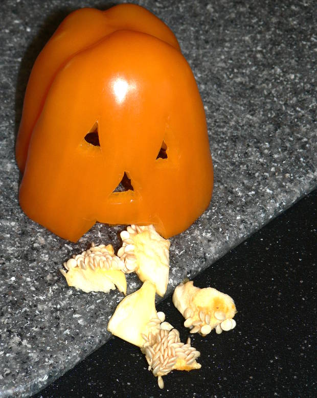 Best Pumpkin Carving Throwing Up