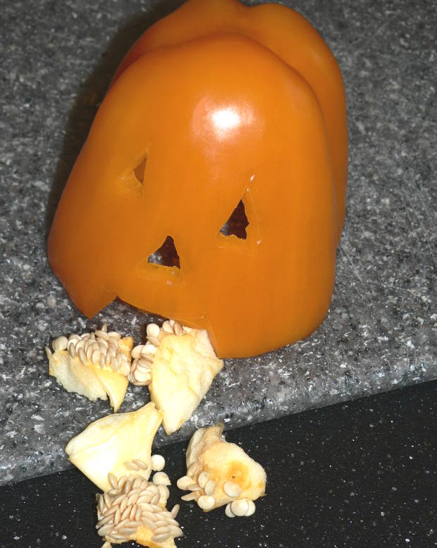 Vomiting and barfing pumpkins are perfect holiday centerpieces! Here is how to make them #healthy #healthyrecipes #healthyfood #healthyeating #cooking #food #recipes #vegan #vegetarian #vegetarianrecipes #glutenfree #glutenfreerecipes #sidedish #halloween #halloweensnacks #snacks #ketodiet #ketorecipes #lowcarb #lowcarbdiet #lowcarbrecipes