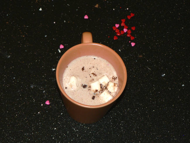 Hot Cocoa in a Mug