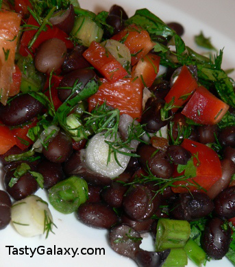 Black Bean Salad Recipes