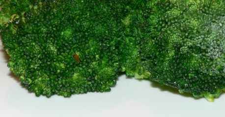 Broccoli Stir Fry #broccoli #lowcarb #lowcarbdiet #lowcarbrecipes #keto #ketodiet #ketorecipes #paleo #veganrecipes #vegan #veganfood #vegetarianrecipes #vegetariancooking