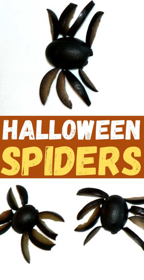 Halloween Spiders