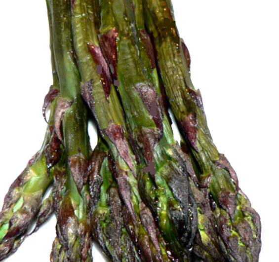 Roasted Asparagus Recipes