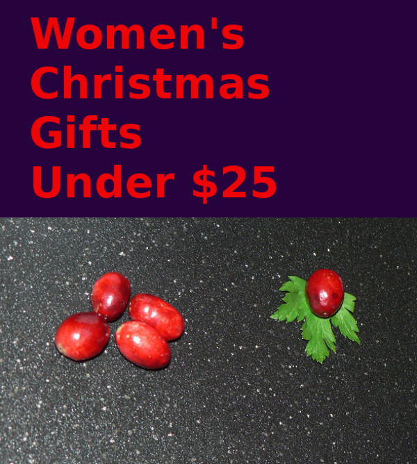 The best Christmas Gifts For Women $25 And Under, save on womens Christmas gifts #christmas #gifts